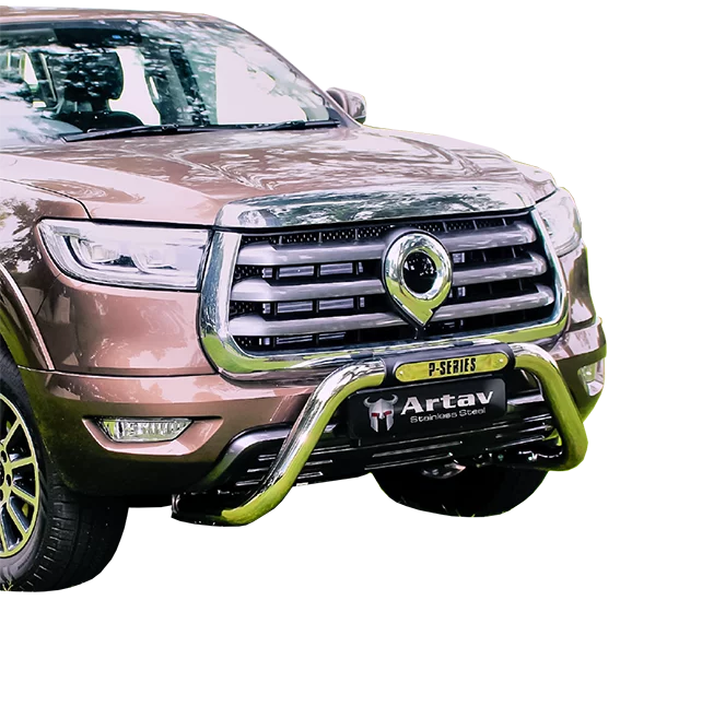 GWM P-Series Nudge Bar Stainless