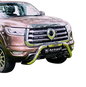 GWM P-Series Nudge Bar Stainless